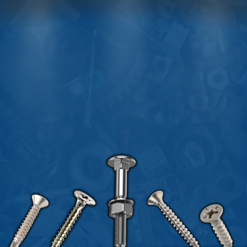 Product Category - S.S. Screws Final